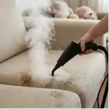 🔥 Limpiadora a Vapor Portátil💨